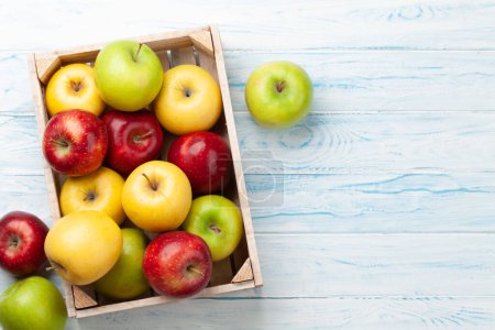 Photo for Colorful ripe apple fruits in box on wooden table. Top view flat lay with copy space - Royalty Free Image