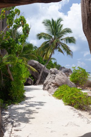 Téléchargez les photos : Plage tropicale avec palmiers et mer turquoise - en image libre de droit