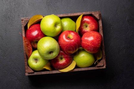 Photo for Red and green garden apples in wooden box. Flat lay - Royalty Free Image