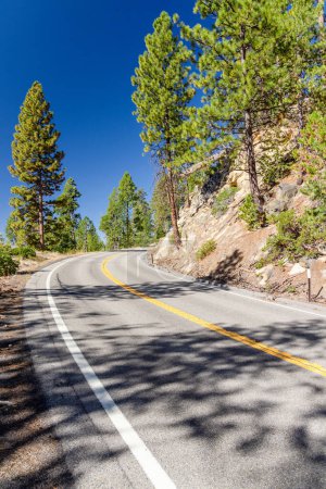 Téléchargez les photos : Asphalte courbe route à travers la forêt. Parc national de Yosemite, Californie - en image libre de droit