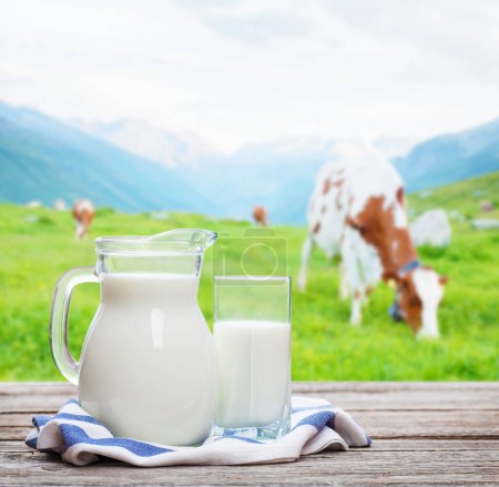 Photo for Milk in jug and glass and cows in pasture on alpine meadow on background - Royalty Free Image