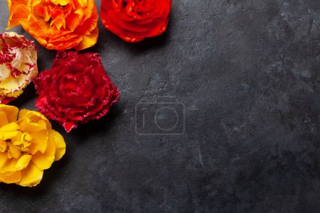 Photo for Colorful tulip buds on stone background. Flat lay with copy space - Royalty Free Image