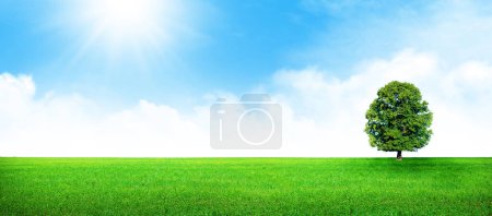 Foto de Campo de hierba verde, árbol solitario y azul cielo soleado paisaje de verano fondo - Imagen libre de derechos