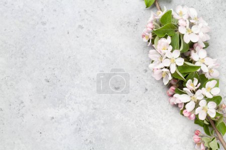 Photo for Apple blossom tree branch on stone table. Top view flat lay with copy space, Template for your spring card - Royalty Free Image