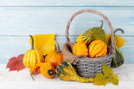 Téléchargez les photos : Diverses courges et citrouilles colorées. Récolte de légumes d'automne. Avec espace de copie - en image libre de droit