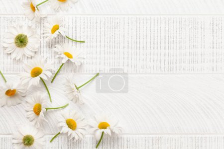 Téléchargez les photos : Fleurs de jardin de camomille sur fond en bois. Vue du dessus plat avec espace de copie - en image libre de droit