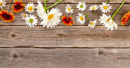 Photo for Chamomile garden flowers on wooden background. Top view flat lay with copy space - Royalty Free Image