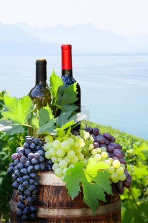 Foto de Botellas de vino tinto y blanco y uvas en barrica de vino frente al paisaje del viñedo. Día soleado de verano cerca del lago de Ginebra - Imagen libre de derechos