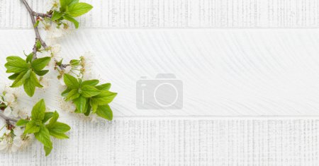Téléchargez les photos : Branche de pommier sur table en bois. Pose plate vue de dessus avec espace de copie, Modèle pour votre carte à ressort - en image libre de droit