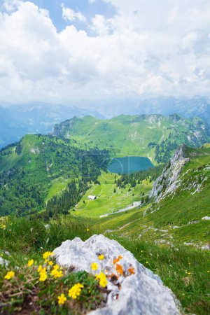 Foto de Vista panorámica del lago, verdes prados alpinos en flor y las montañas de los Alpes en Suiza - Imagen libre de derechos