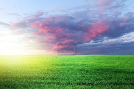 Foto de Campo de hierba verde y cielo hermoso atardecer - Imagen libre de derechos
