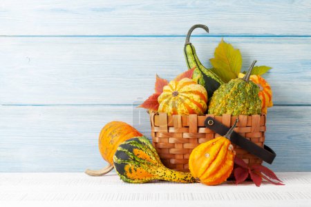 Téléchargez les photos : Diverses courges et citrouilles colorées. Récolte de légumes d'automne. Avec espace de copie - en image libre de droit