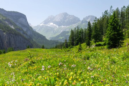 Téléchargez les photos : Vue panoramique sur les prairies alpines verdoyantes et les Alpes en Suisse - en image libre de droit