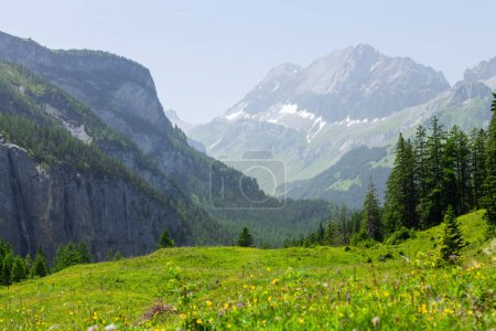 Photo for Panoramic view of green blooming alpine meadows and the Alps mountains in Switzerland - Royalty Free Image