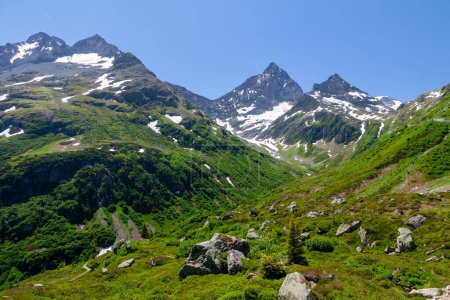 Foto de Vista panorámica de verdes prados alpinos y montañas de los Alpes con nieve en Suiza - Imagen libre de derechos