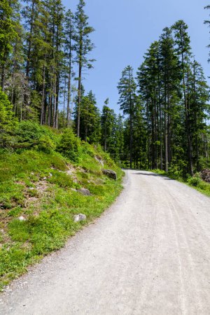 Téléchargez les photos : Vue panoramique de la route de campagne dans les Alpes en Suisse - en image libre de droit