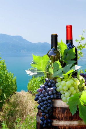 Téléchargez les photos : Bouteilles de vin rouge et blanc et raisins sur tonneau de vin en face du paysage du vignoble. Journée ensoleillée près du lac Léman - en image libre de droit