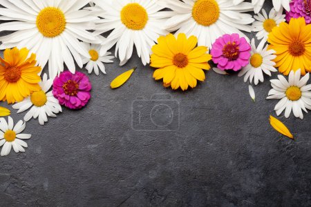 Foto de Flores de manzanilla sobre fondo de piedra. Vista superior plano con espacio de copia - Imagen libre de derechos