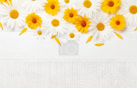 Foto de Flores de manzanilla sobre fondo de madera. Vista superior plano con espacio de copia - Imagen libre de derechos