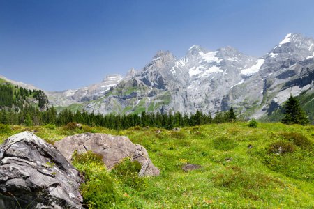 Foto de Montañas de los Alpes suizos y prado floreciente en frente. Día de verano en Suiza - Imagen libre de derechos