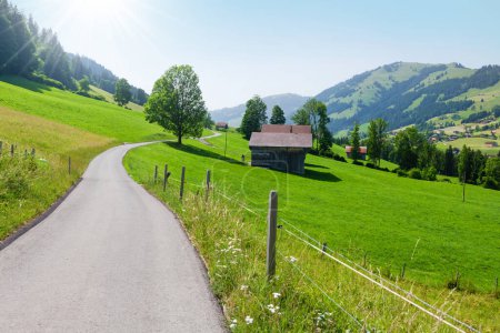 Téléchargez les photos : Route de campagne dans les Alpes suisses par une journée d'été ensoleillée - en image libre de droit