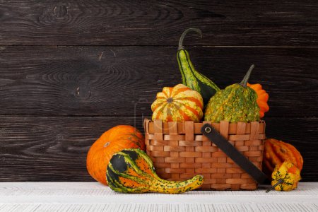 Foto de Varias calabazas y calabazas de colores. Cosecha de verduras de otoño. Con espacio de copia - Imagen libre de derechos
