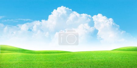 Photo for Green grass field and blue sky with cumulus clouds. Summer landscape background - Royalty Free Image