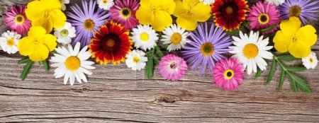 Téléchargez les photos : Diverses fleurs de jardin sur fond en bois. Vue du dessus plat lay - en image libre de droit