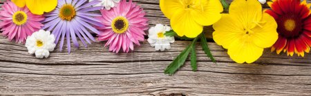 Photo for Garden flowers on wooden background. Top view flat lay - Royalty Free Image