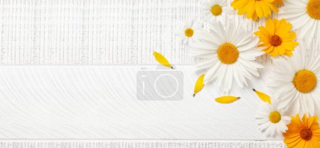 Téléchargez les photos : Fleurs de jardin de camomille sur fond en bois. Vue du dessus plat avec espace de copie - en image libre de droit