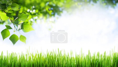 Téléchargez les photos : Herbe et feuilles devant le ciel bleu ensoleillé. Fond d'été avec espace de copie - en image libre de droit