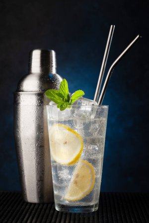 Téléchargez les photos : Cocktail shaker et gin tonic cocktail sur fond sombre avec espace de copie - en image libre de droit