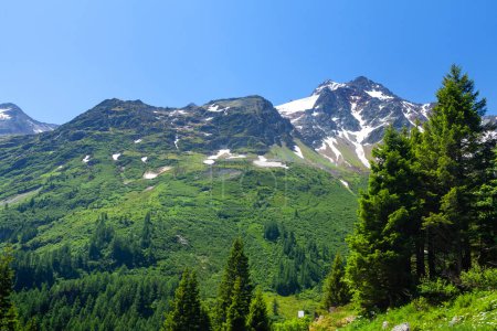 Foto de Paisaje con montañas nevadas de los Alpes en Suiza, prados florecientes y bosques - Imagen libre de derechos