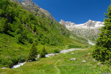 Foto de Paisaje con montañas nevadas de los Alpes en Suiza, prados florecientes, bosque y un río en frente - Imagen libre de derechos