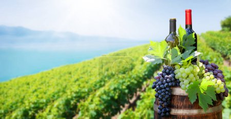 Photo for Red and white wine bottles and grapes on wine barrel in front of landscape of vineyard. Sunny summer day near Geneva lake - Royalty Free Image