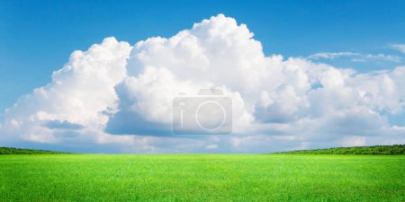 Téléchargez les photos : Champ d'herbe verte et ciel bleu avec cumulus. Paysage d'été fond - en image libre de droit