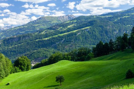 Téléchargez les photos : Paysage alpin en Suisse, prairies verdoyantes et forêt - en image libre de droit