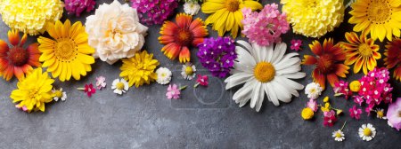 Téléchargez les photos : Fleurs de jardin sur fond de table en pierre. Pose plate - en image libre de droit
