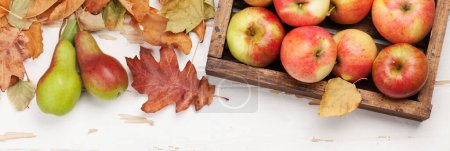 Photo for Autumn background with colorful leaves and fruits on wooden backdrop. Top view flat lay - Royalty Free Image