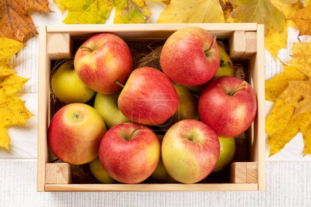 Téléchargez les photos : Pomme de jardin rouge dans une boîte en bois. Pose plate - en image libre de droit
