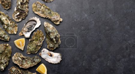Photo for Fresh oysters with lemons. Flat lay with copy space - Royalty Free Image
