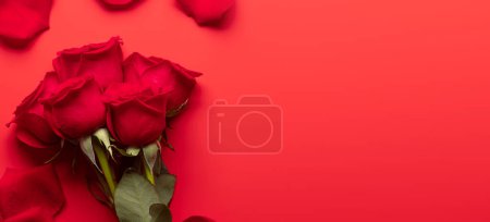 Foto de Tarjeta de felicitación de San Valentín con flor de rosa y pétalos en rojo. Con espacio para tus saludos de amor. Puesta plana - Imagen libre de derechos