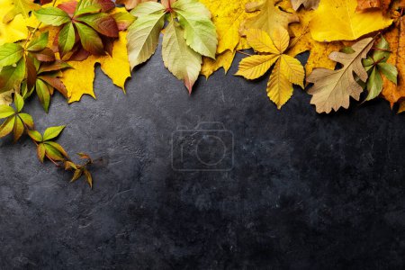 Téléchargez les photos : Colorful autumn leaves on dark stone table. Flat lay with copy space - en image libre de droit