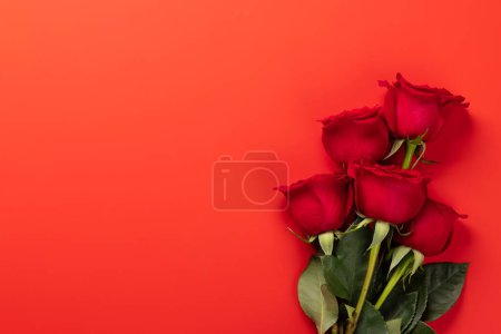 Téléchargez les photos : Valentines day greeting card with rose flowers on red. With space for your love greetings. Flat lay - en image libre de droit
