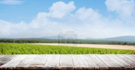 Foto de Wooden table with copy space for your product and vineyard on back. Outdoor template - Imagen libre de derechos