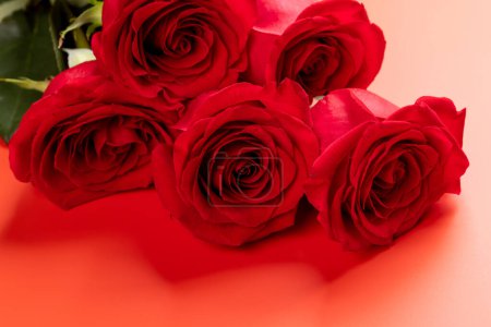 Foto de Valentines day greeting card with rose flowers on red background - Imagen libre de derechos