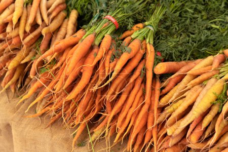 Foto de Ripe carrot on farmers market - Imagen libre de derechos