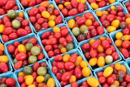 Téléchargez les photos : Diverses cerises aux tomates dans des boîtes au marché fermier - en image libre de droit
