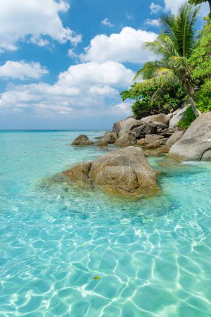 Foto de Playa tropical con palmeras y mar turquesa - Imagen libre de derechos