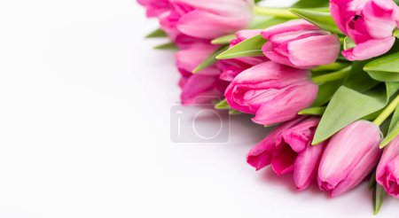 Foto de Fresh pink tulip flowers. Isolated on white background - Imagen libre de derechos